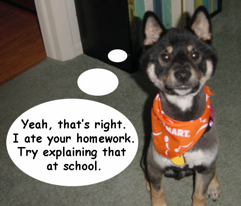 [dog ate my homework]