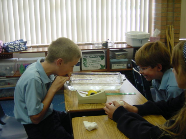 [storm surge lab]