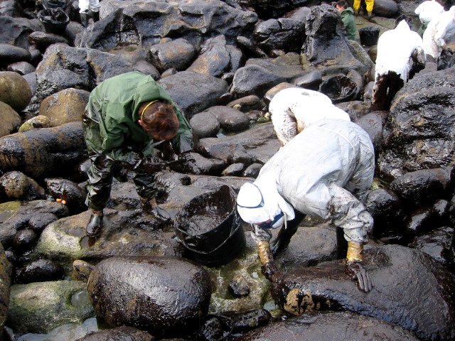 workers.jpg (275817 bytes)