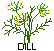 Dill