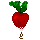 Radish