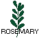 Rosemary