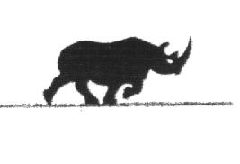 {Nashorn}