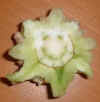GOODLUCK.JPG (10028 bytes)