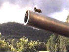 Hey, this isn't the old well !!