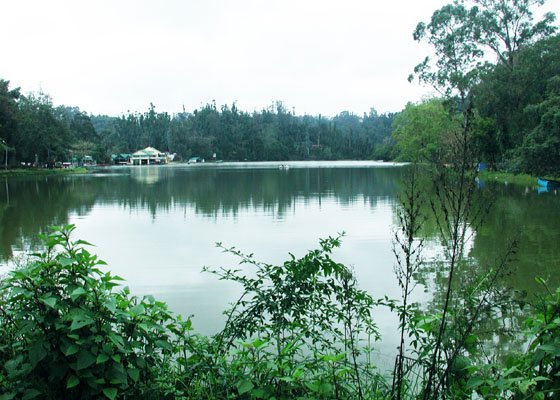 Kodai lake