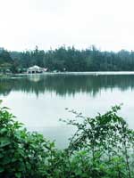 Kodai lake