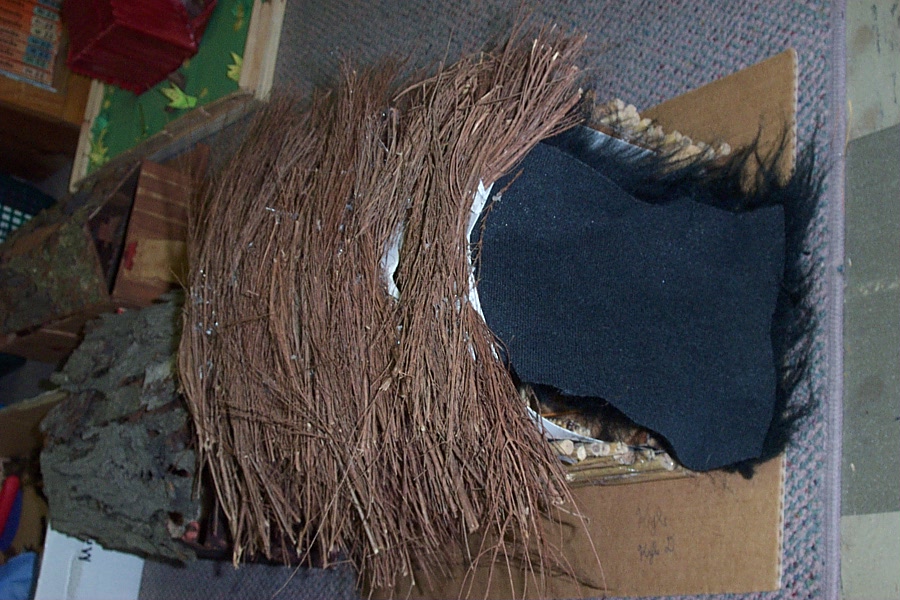 longhouse 9