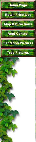 sideTrees Image Map