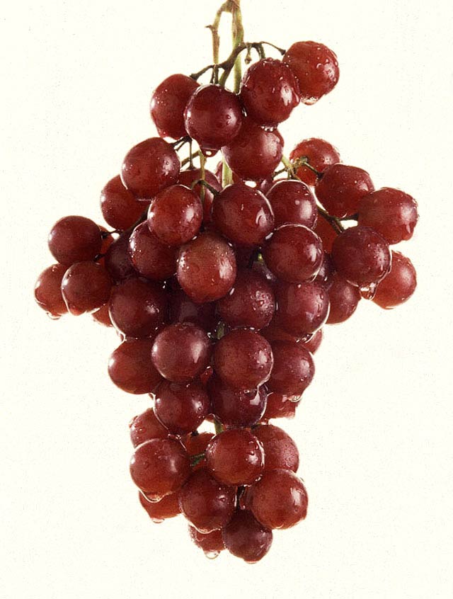 Grape Photo