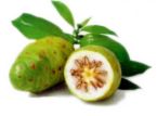 Noni Photo