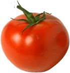 Tomato Photo