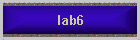 lab6
