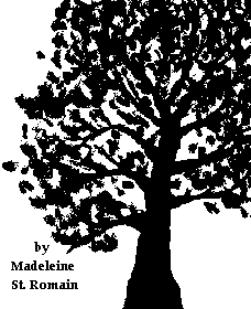image  
Madeleine St. Romain