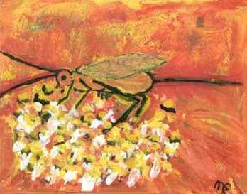 'Wasp' 
 Madeleine St. Romain