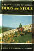 Practical Guide.jpg (37375 bytes)