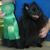 Mtn View Casino Lady Of Vegas, RE,CGC,TDI