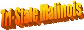 Tri-State Malinois Breeder, Ohio, Indiana, Kentucky