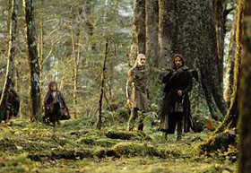 bosque de Farngorn