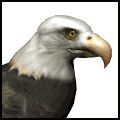 aguila