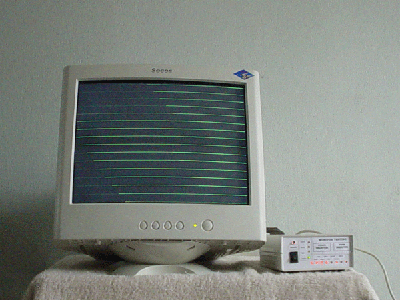 horg.gif (86869 bytes)