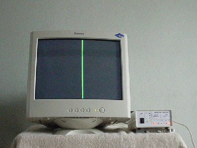 verg.gif (84789 bytes)