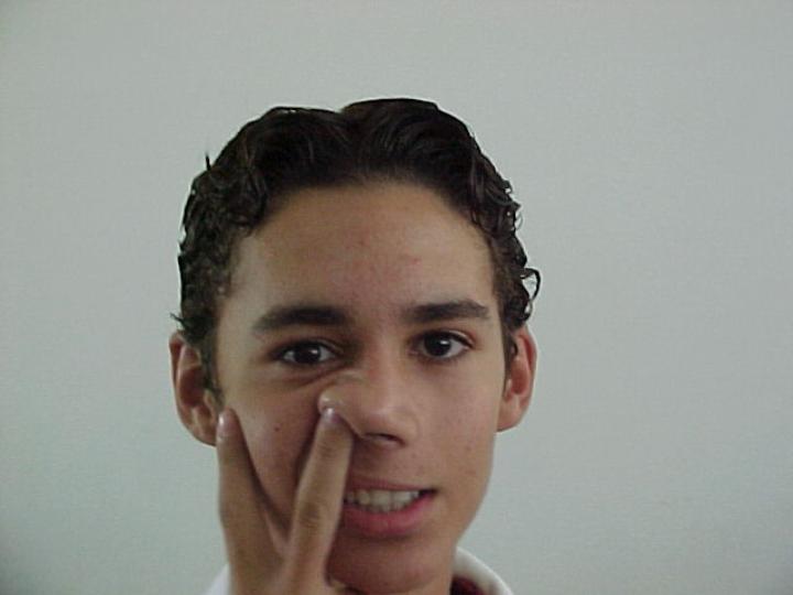 pillo