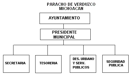 Organigrama estructural