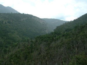 Llano Grande - Coatlinchan