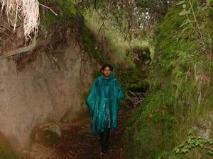 Llano Grande - Coatlinchan