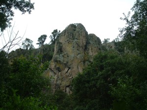 Llano Grande - Coatlinchan