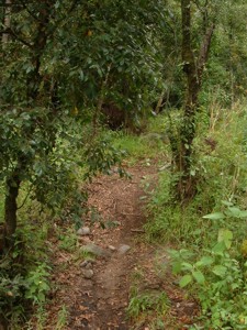 Llano Grande - Coatlinchan