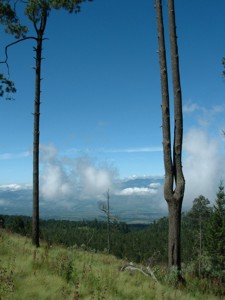 Llano Grande - Coatlinchan