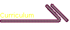 Curriculum