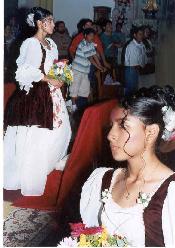 MIS 15 AOS