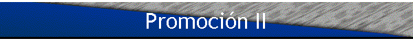 Promocin II