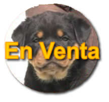 venta