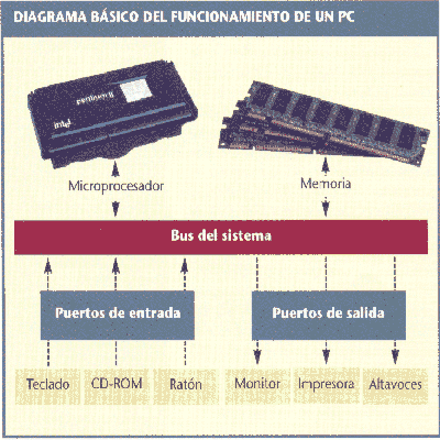 buses