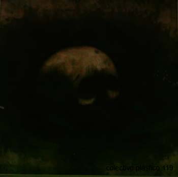 photo41