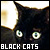 Adoro a los gatos negros ^////^