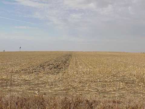 Campo desertificado