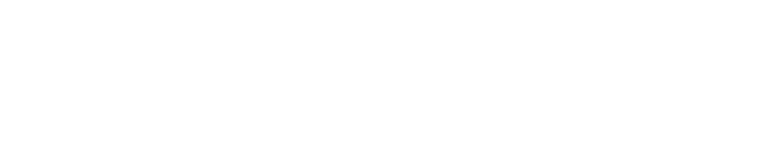 Geometra fractal