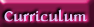 Curriculum de Ezzahara