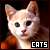 soy fan de los gatos!!! GATOS!!!!!!!! ^O^