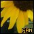 mis flores favoritas son los girasoles ^^-