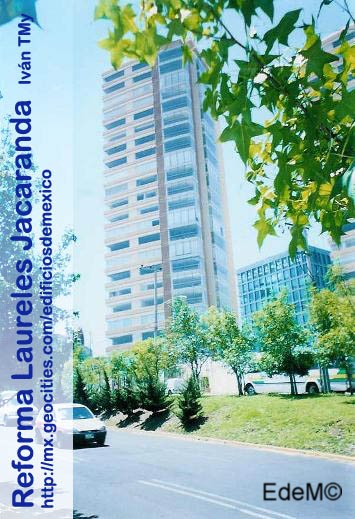 Reforma Laureles Jacaranda