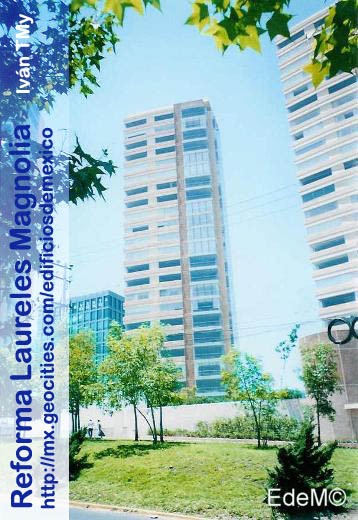 Reforma Laureles Magnolia