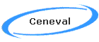 Ceneval