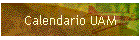 Calendario UAM