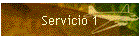 Servicio 1